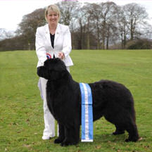Suzanne Blake and Ch. Sandbears Cappachino with his Best in Show sash