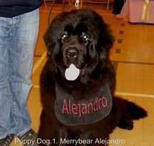 Merrybear Alejandro