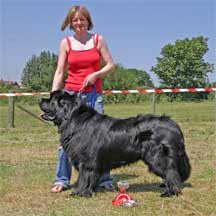 Shirland Fun Day 2006