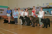 Shirland Fun Day 2006