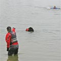 picture of black newfoundland dog Pendragon Georgy Girl - Georgy being sent with lifejacket to person in water