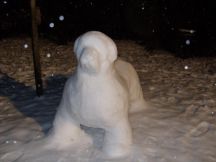 Snow Newf