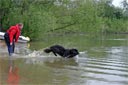 Picture of Owner and black newfoundland dog, the dog is being sent out to the boat