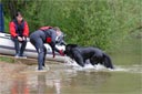 picture of the object being retrieved from the dog by the owner