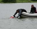 Picture of Landseer dog collecting tow rope from handler prior to towing boat to shore