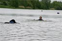 picture of black newfoundland dog swimming towards stranger who is splashing to attract dogs attention