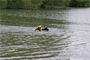 picture of brown newfoundland dog and owner on right hand 'L' section of controlled swim